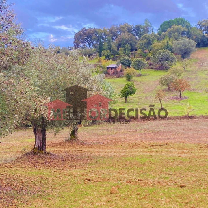 Terreno para Venda em Brogueira, Parceiros de Igreja e Alcorochel Foto 1