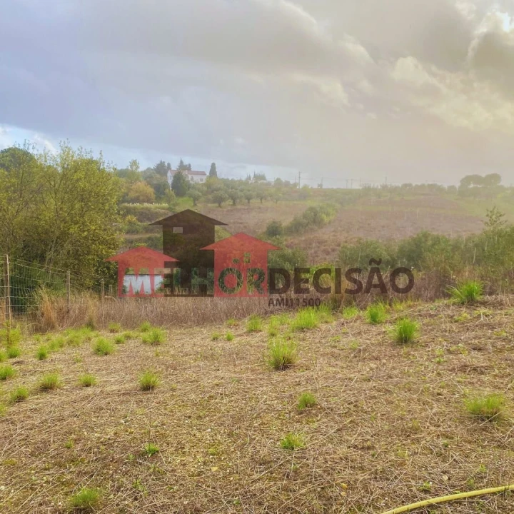 Terreno para Venda em Brogueira, Parceiros de Igreja e Alcorochel Foto 4