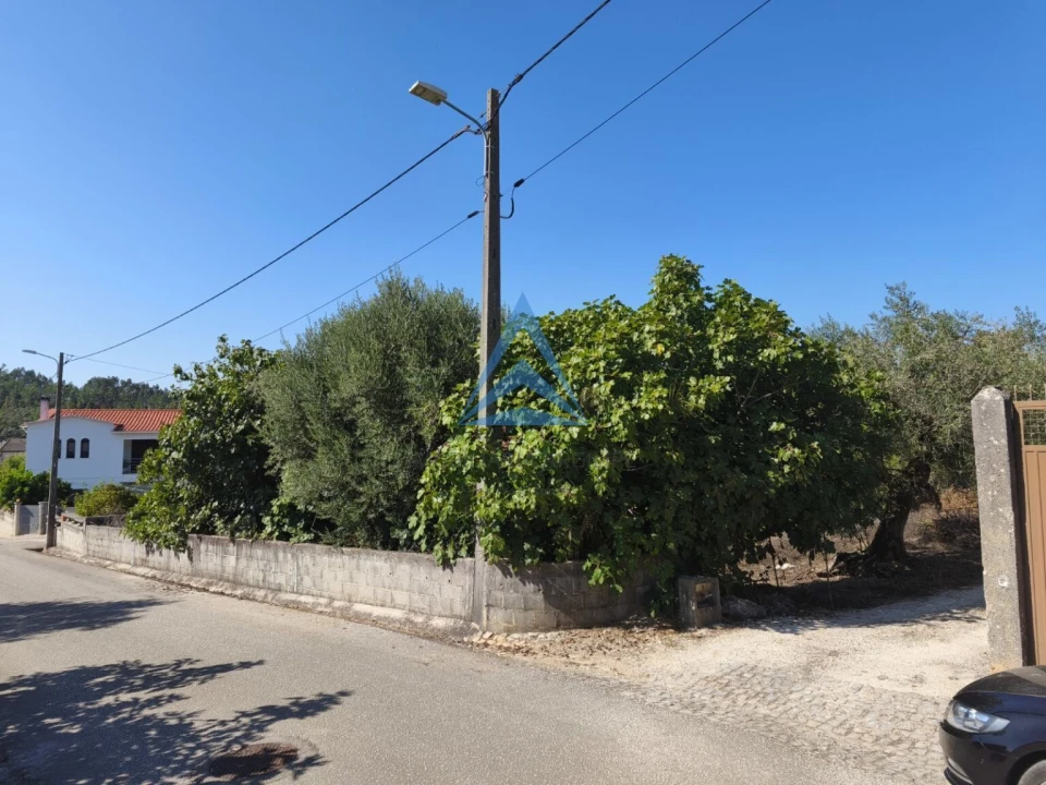 Quinta T1 para Venda em Pombal Foto 3