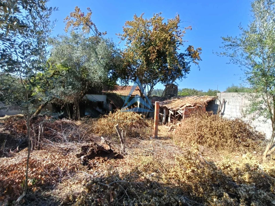 Quinta T1 para Venda em Pombal Foto 18