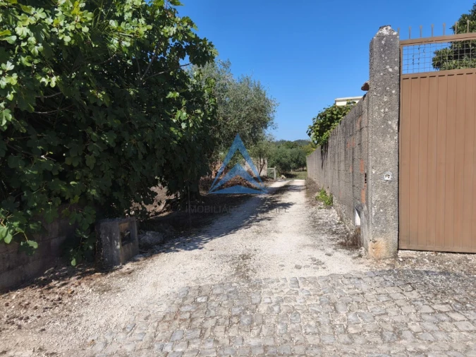 Terreno para Venda em Pombal Foto 13