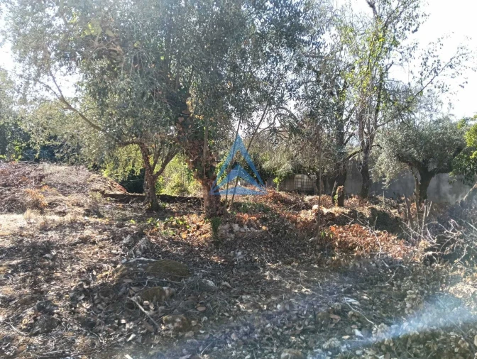 Terreno para Venda em Pombal Foto 8