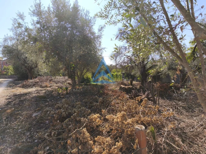 Terreno para Venda em Pombal Foto 19