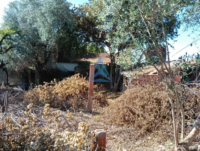 Terreno para Venda em Pombal Foto 6