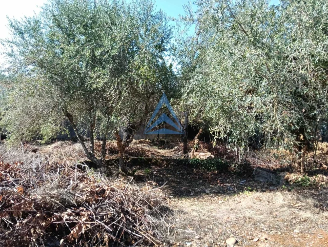 Terreno para Venda em Pombal Foto 9