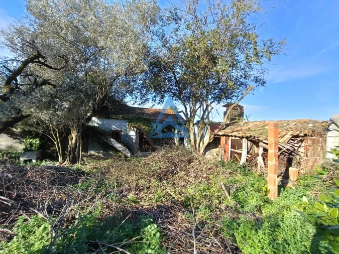 Quinta T1 para Venda em Pombal Foto 13