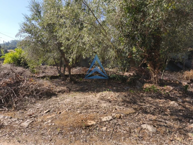 Terreno para Venda em Pombal Foto 15
