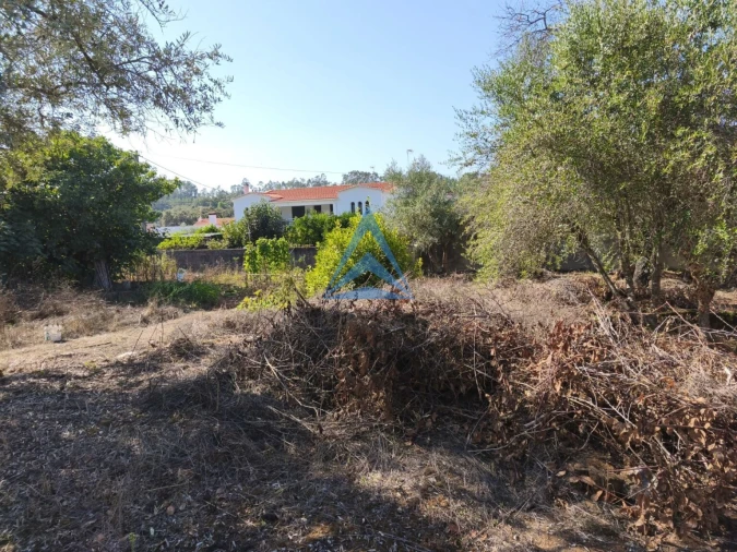 Terreno para Venda em Pombal Foto 14