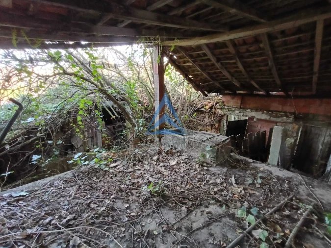 Quinta T1 para Venda em Pombal Foto 6