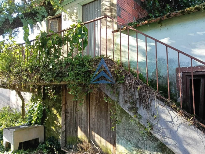 Quinta T1 para Venda em Pombal