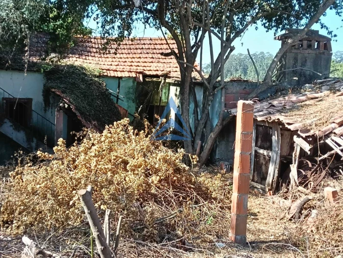 Terreno para Venda em Pombal Foto 7