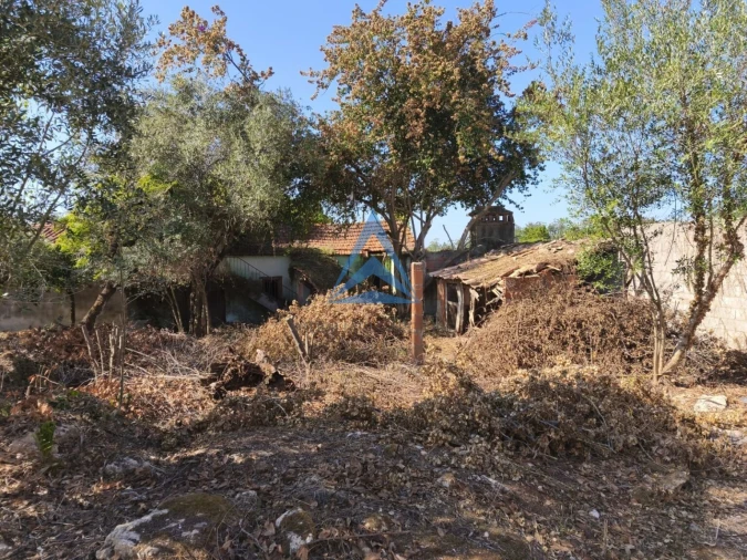 Terreno para Venda em Pombal Foto 16