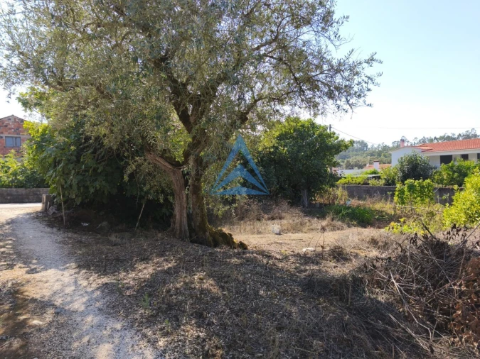 Terreno para Venda em Pombal Foto 4