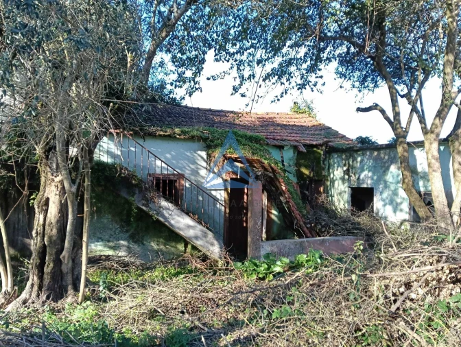Quinta T1 para Venda em Pombal Foto 2