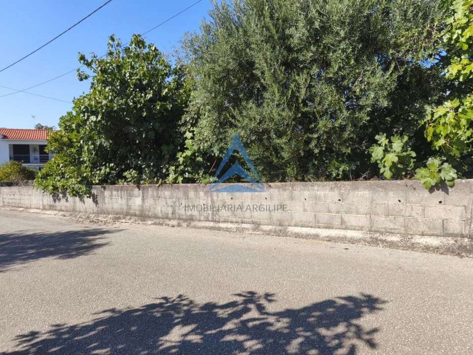 Quinta T1 para Venda em Pombal Foto 16