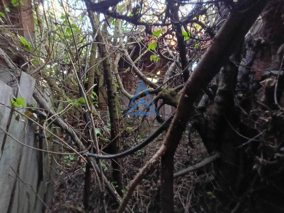 Quinta T1 para Venda em Pombal Foto 8