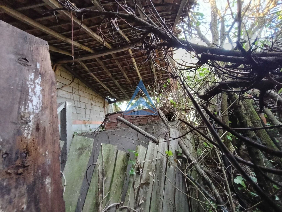 Quinta T1 para Venda em Pombal Foto 7