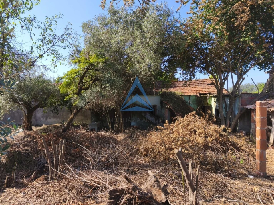 Quinta T1 para Venda em Pombal Foto 5