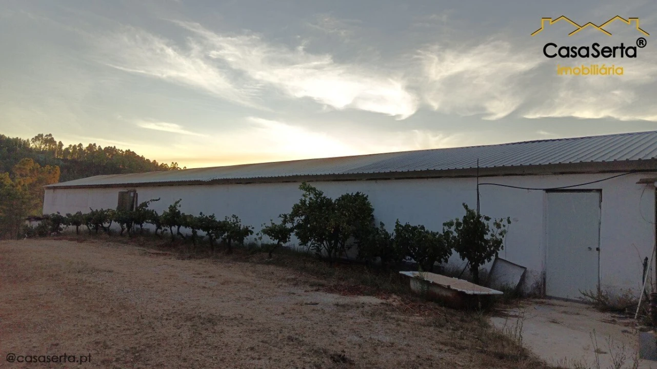 Armazém para Venda em Sertã Foto 5