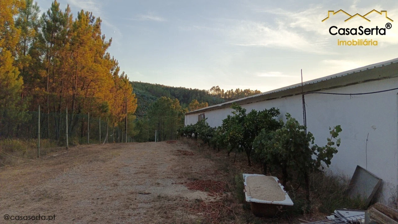 Armazém para Venda em Sertã Foto 6