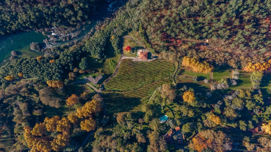 Quinta T3 para Venda em Bouro (Santa Maria) Foto 4