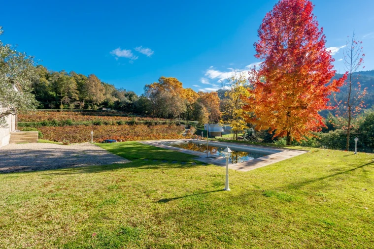 Quinta T3 para Venda em Bouro (Santa Maria) Foto 13