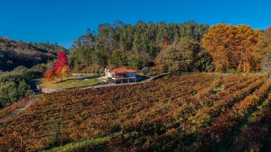 Quinta T3 para Venda em Bouro (Santa Maria) Foto 7