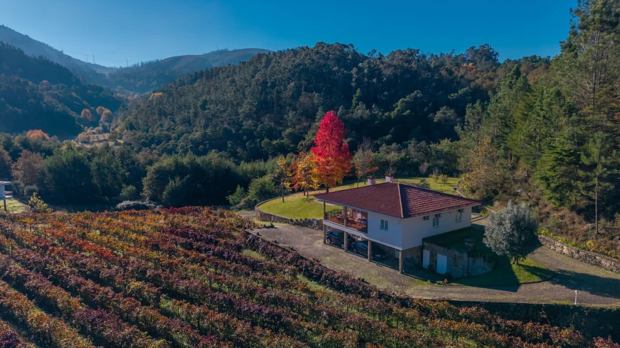Quinta T3 para Venda em Bouro (Santa Maria) Foto 9
