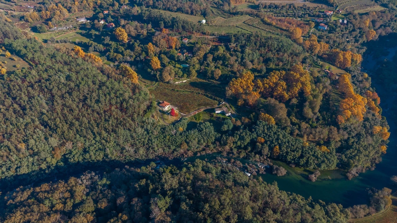 Quinta T3 para Venda em Bouro (Santa Maria) Foto 3