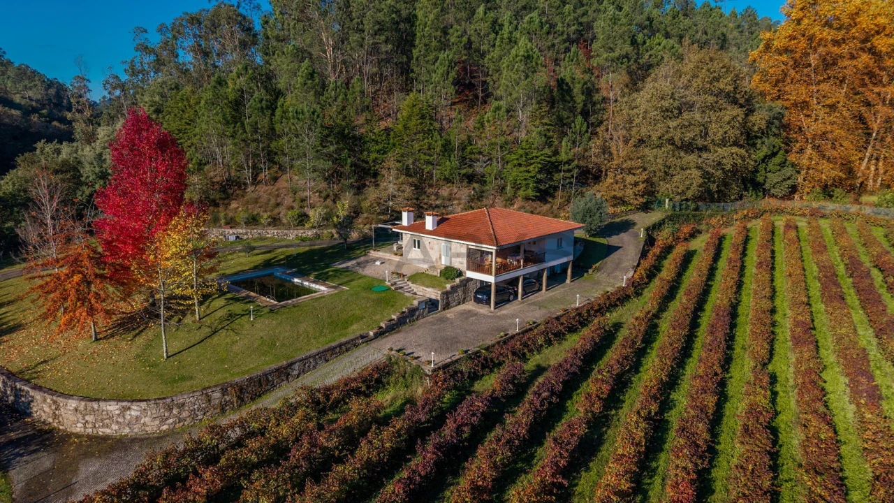 Quinta T3 para Venda em Bouro (Santa Maria) Foto 8