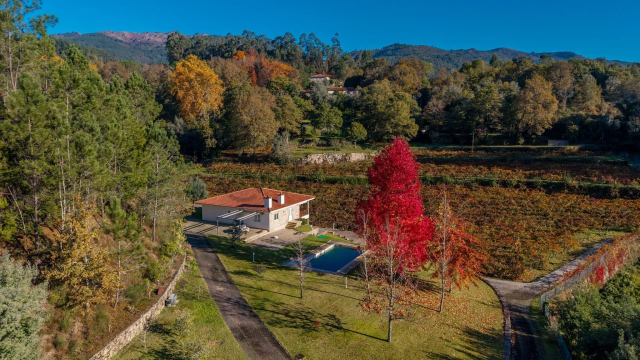 Quinta T3 para Venda em Bouro (Santa Maria) Foto 10