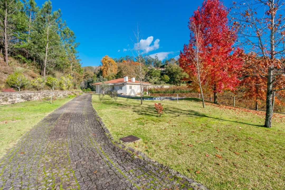 Quinta T3 para Venda em Bouro (Santa Maria) Foto 14