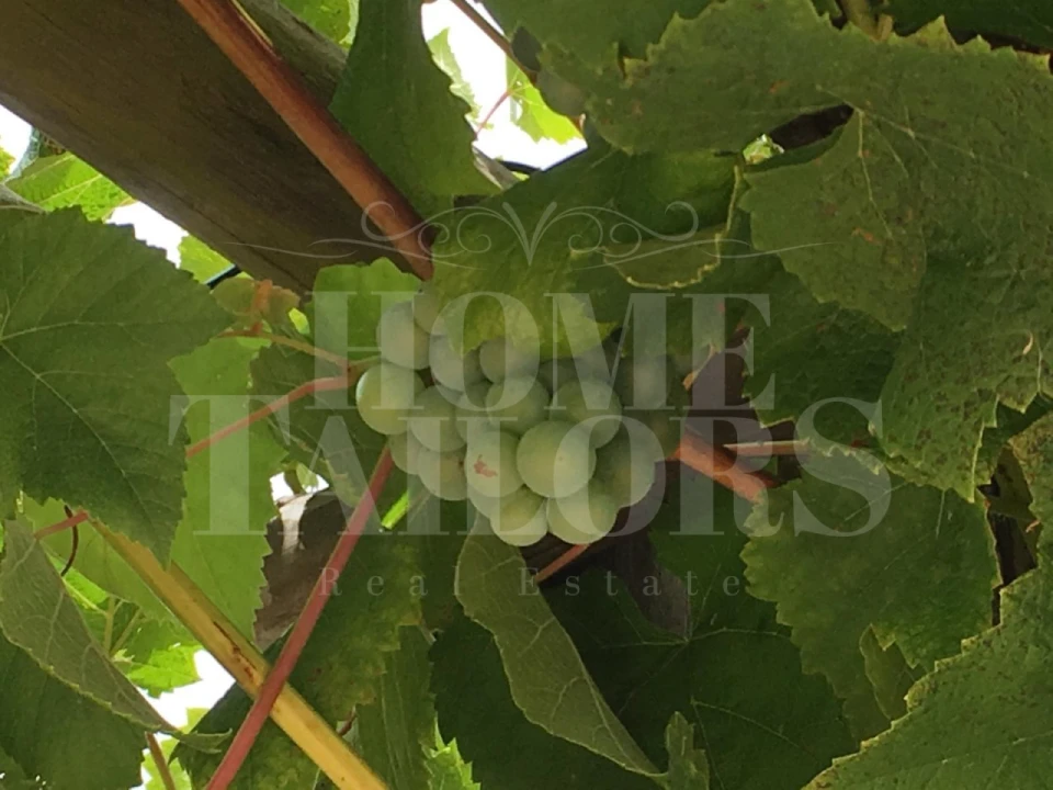 Moradia T4 para Venda em Colos Foto 28