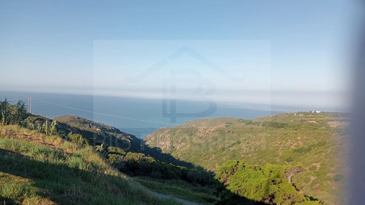 Apartamento para Venda em Colares Foto 2