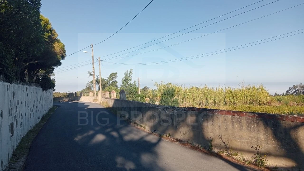 Apartamento para Venda em Colares Foto 5