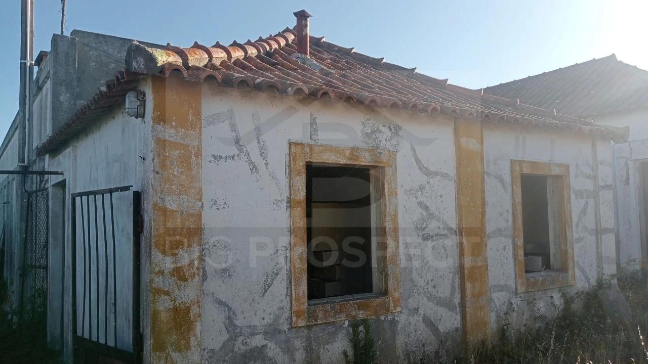 Apartamento para Venda em Colares Foto 10