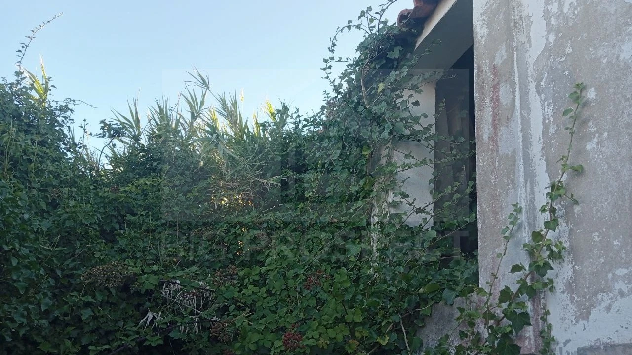 Apartamento para Venda em Colares Foto 13