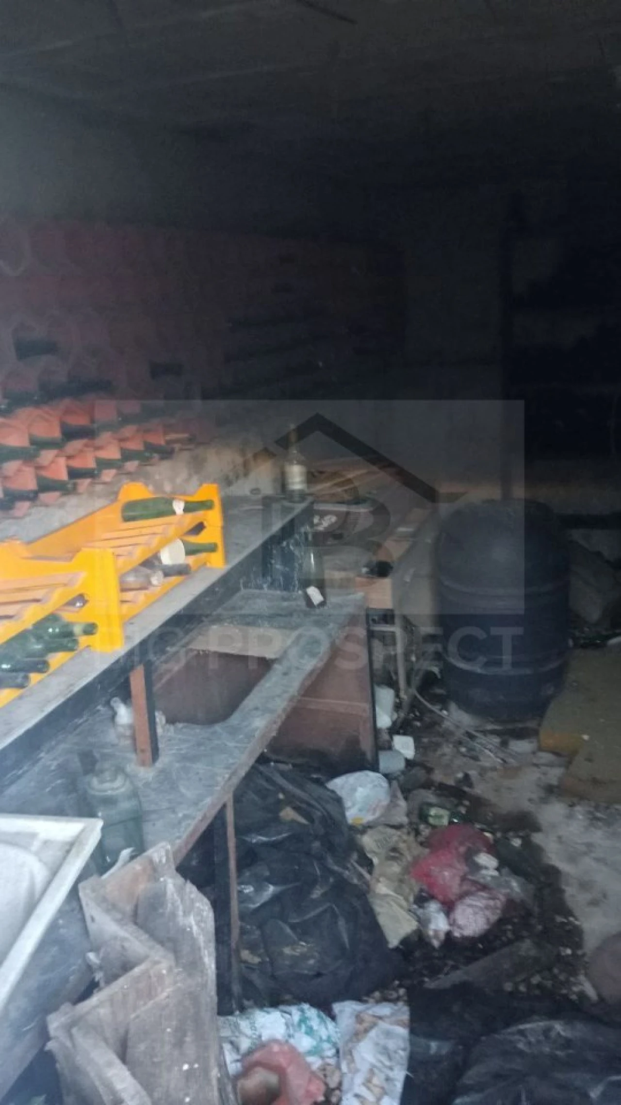 Apartamento para Venda em Colares Foto 14