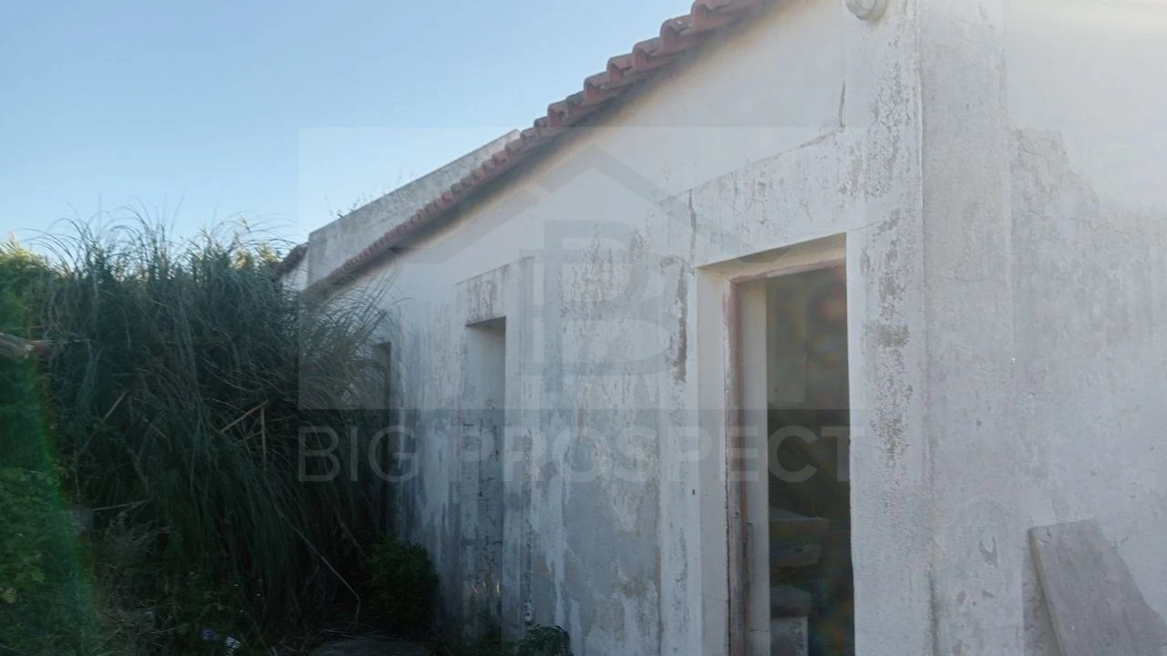 Apartamento para Venda em Colares Foto 22