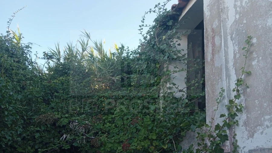 Apartamento para Venda em Colares Foto 13