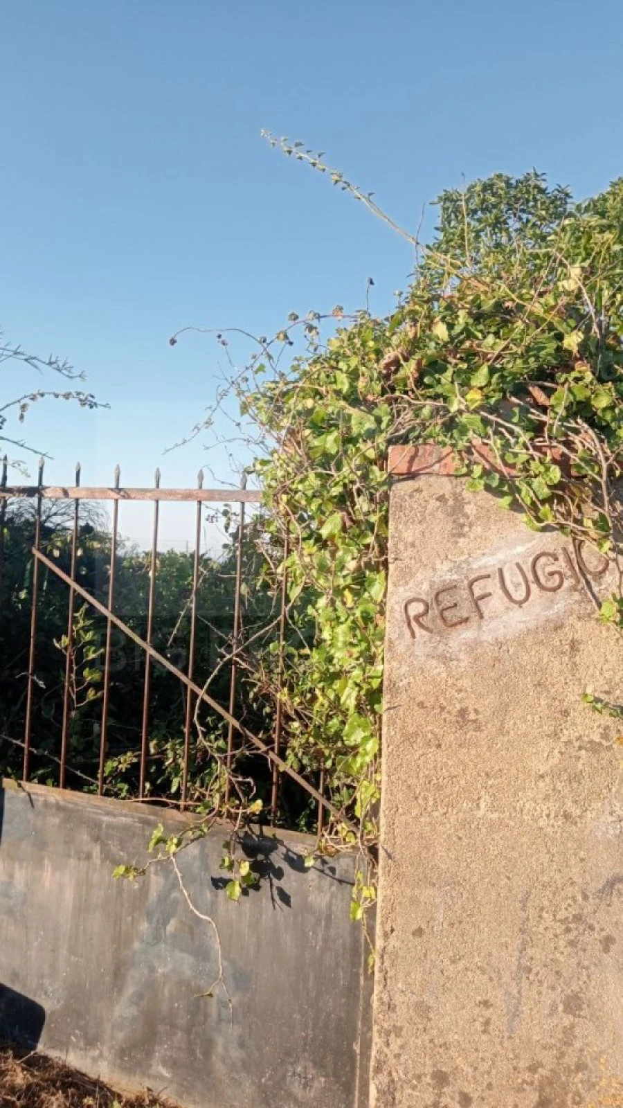 Apartamento para Venda em Colares Foto 20