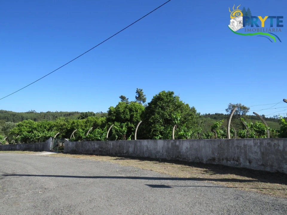 Quinta T5 para Venda em Sertã Foto 17