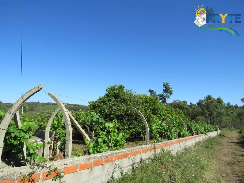 Quinta T5 para Venda em Sertã Foto 19