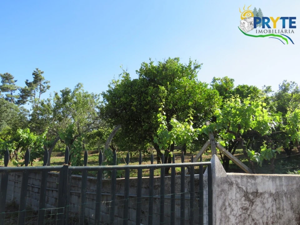 Quinta T5 para Venda em Sertã Foto 21