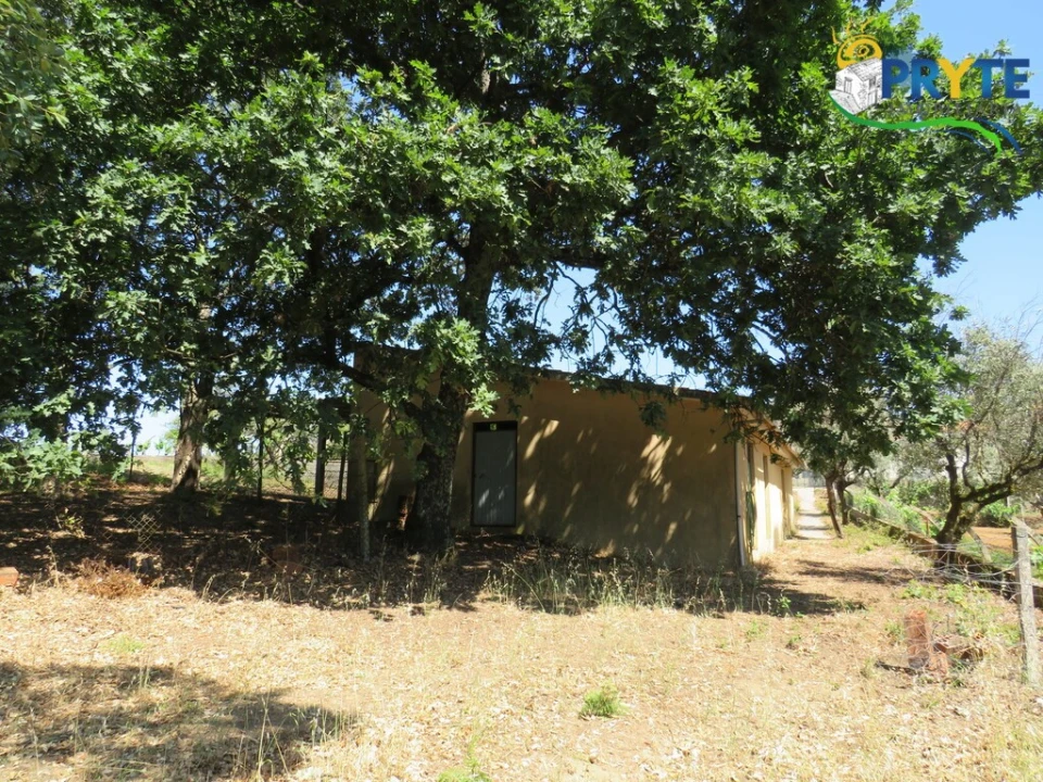 Quinta T5 para Venda em Sertã Foto 28