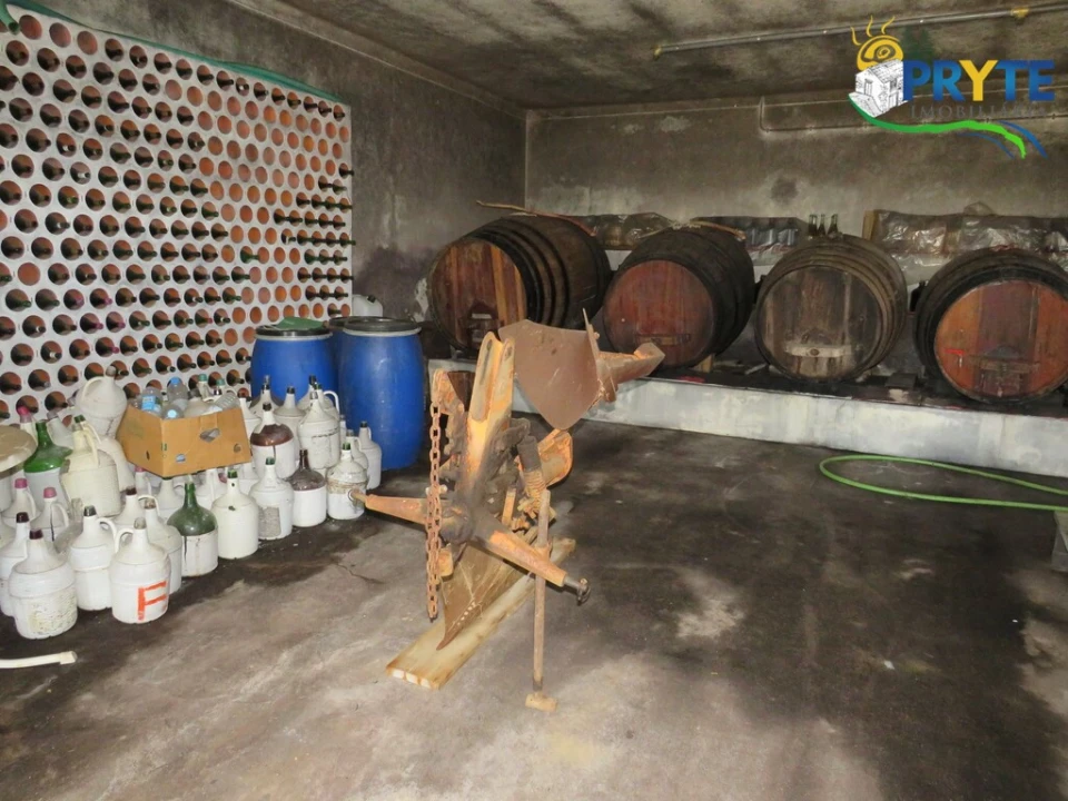 Quinta T5 para Venda em Sertã Foto 50