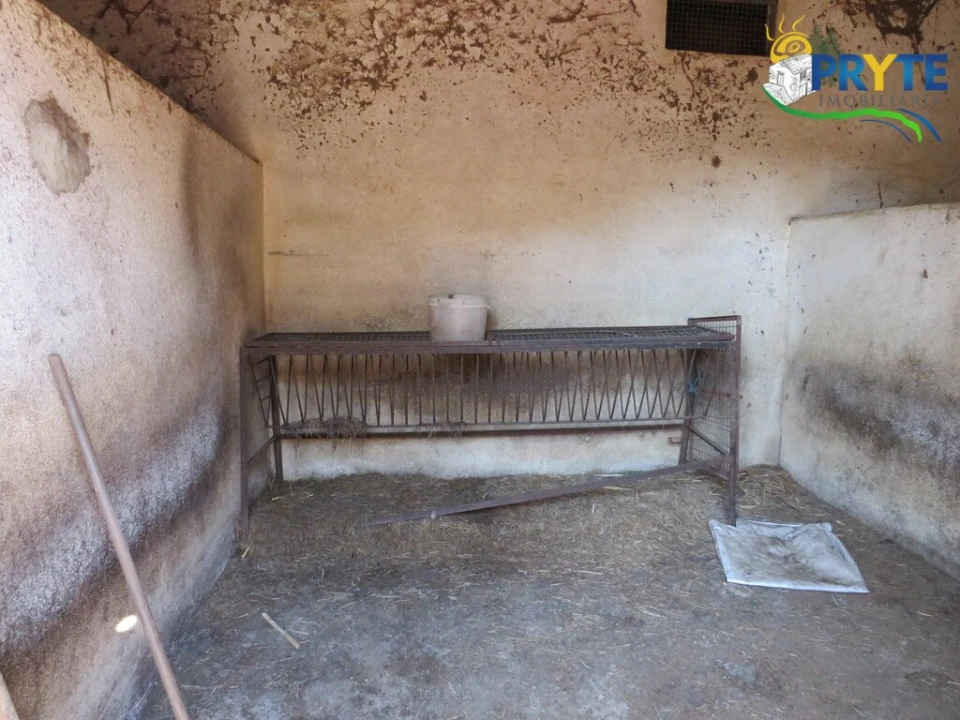 Quinta T5 para Venda em Sertã Foto 81