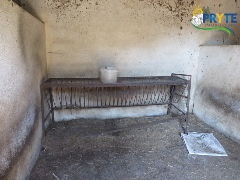 Quinta T5 para Venda em Sertã Foto 83