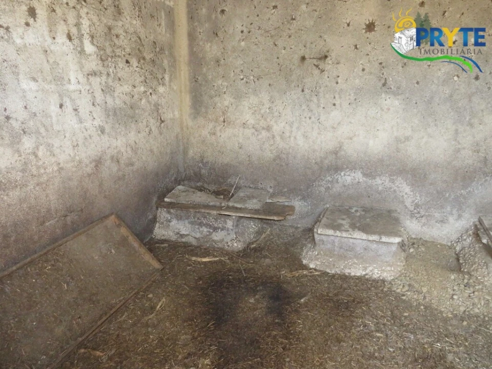 Quinta T5 para Venda em Sertã Foto 85