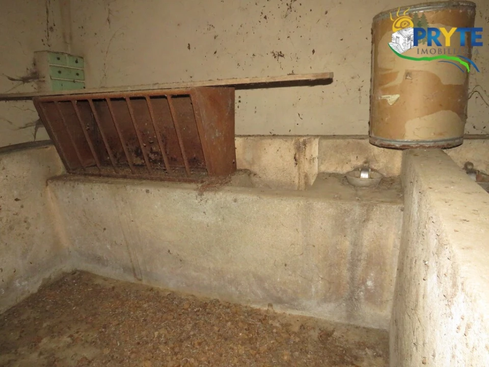 Quinta T5 para Venda em Sertã Foto 88